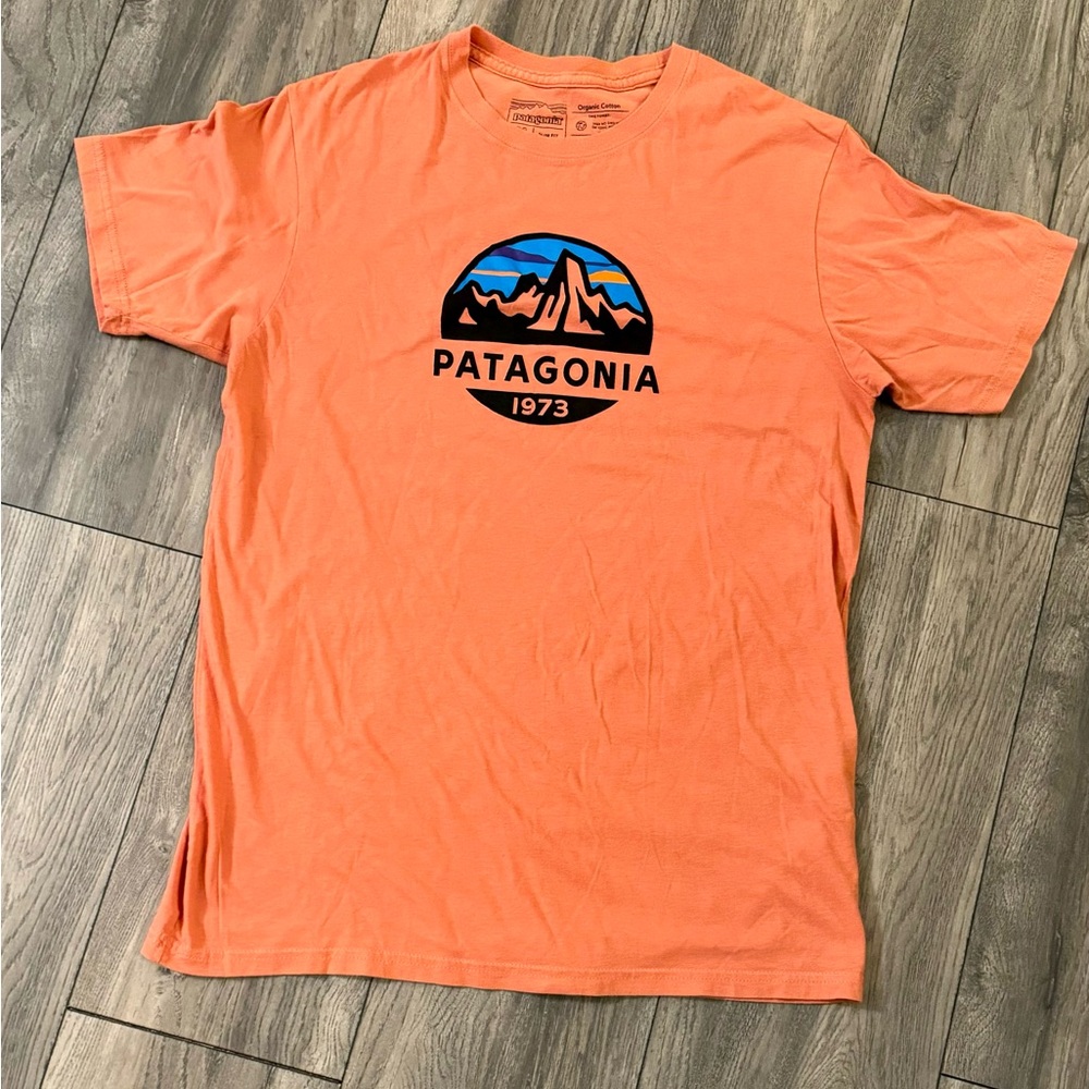 Men’s slim fit Patagonia tee shirt. Size medium